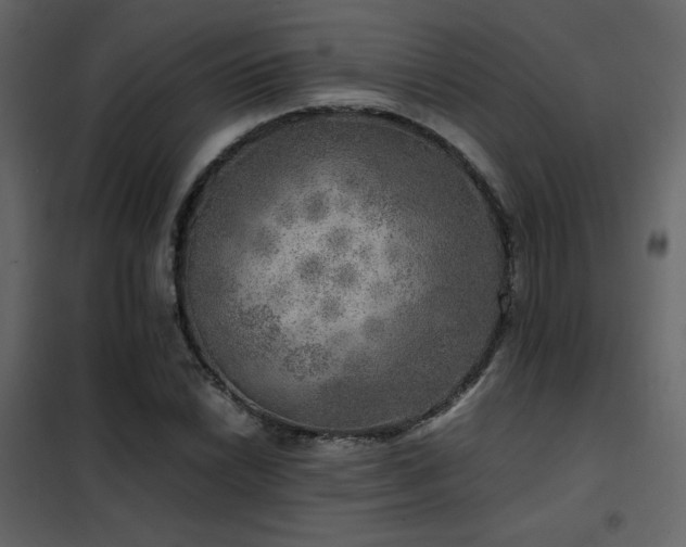 X0000102521022200808081423