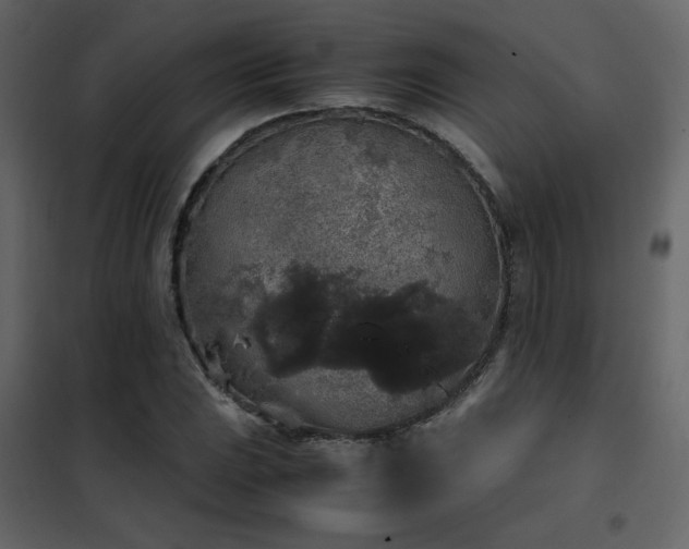 X0000102521023200808081423