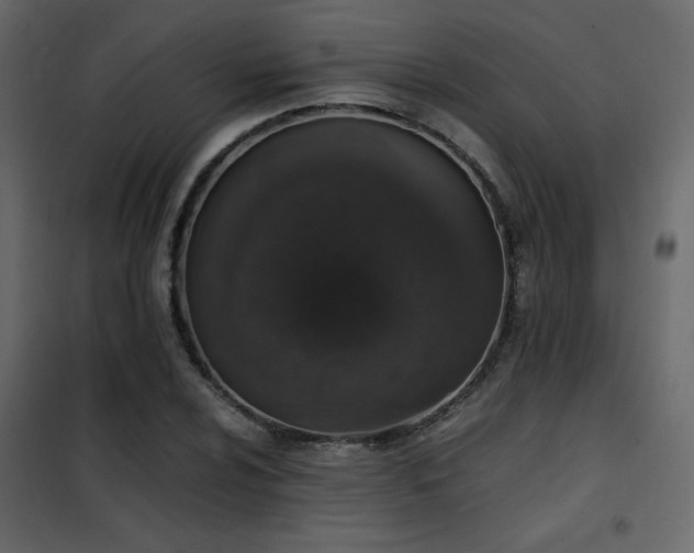 X0000102521024200808081423