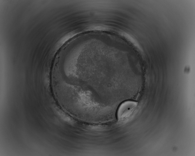 X0000102521025200808081423