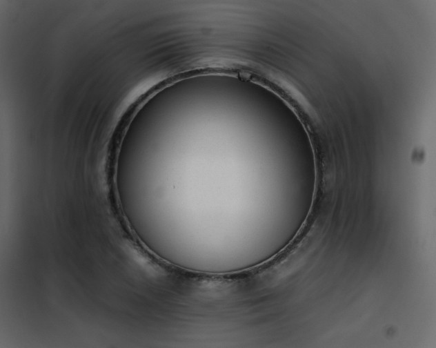 X0000102521026200808081423