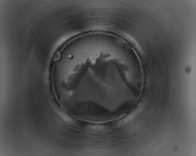 X0000102521027200808081423