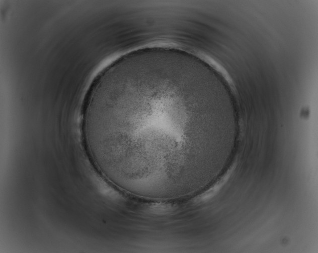 X0000102521029200808081423