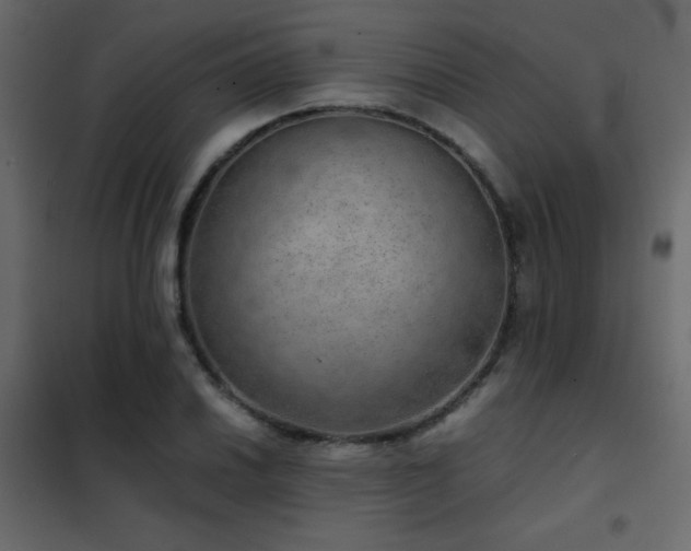 X0000102521030200808081423