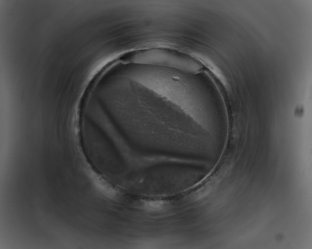 X0000102521031200808081423