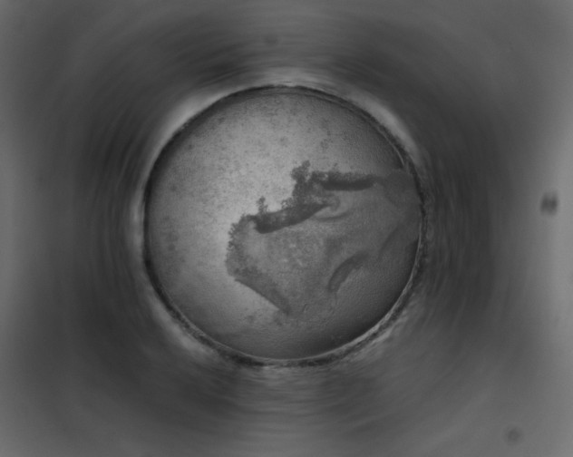 X0000102521032200808081423