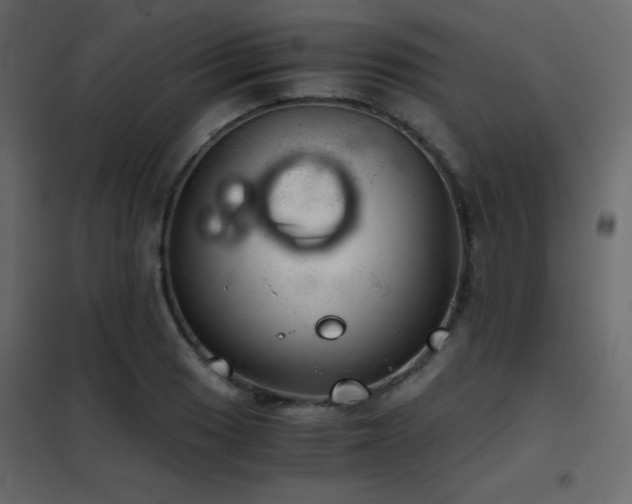 X0000102521033200808081423