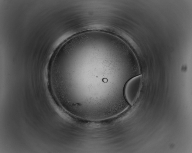 X0000102521034200808081423