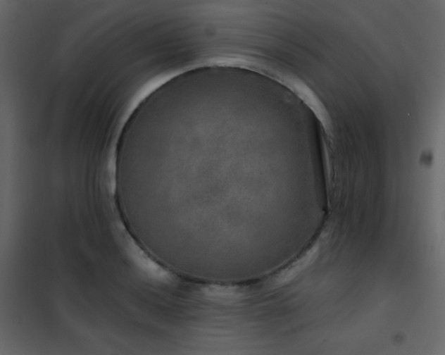 X0000102521036200808081423