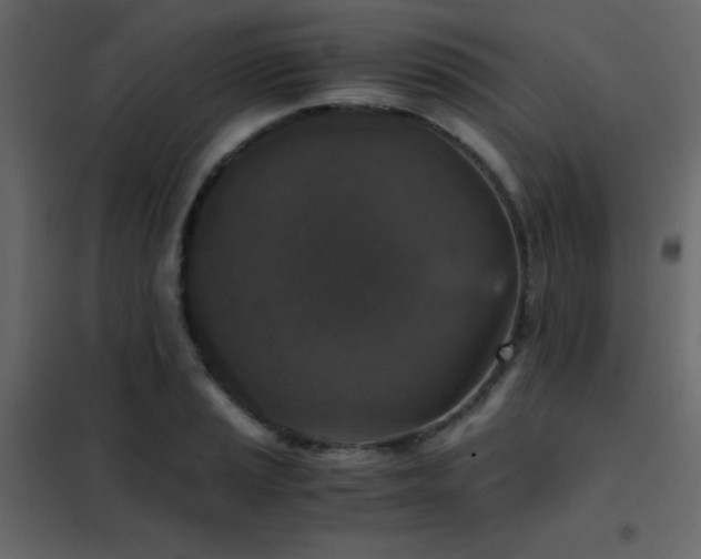 X0000102521037200808081423