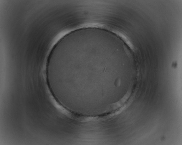 X0000102521038200808081423