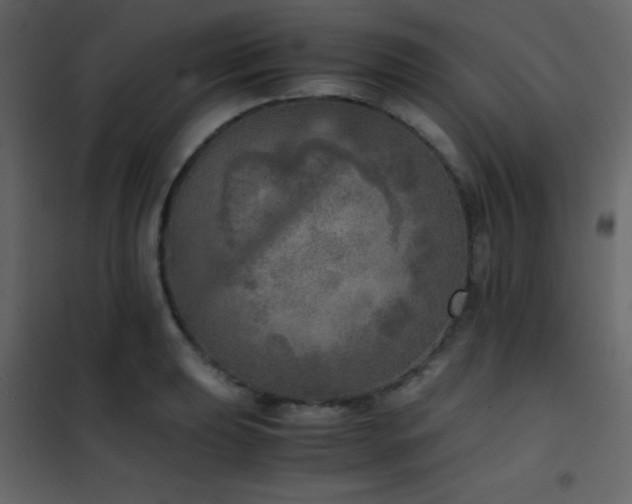 X0000102521039200808081423