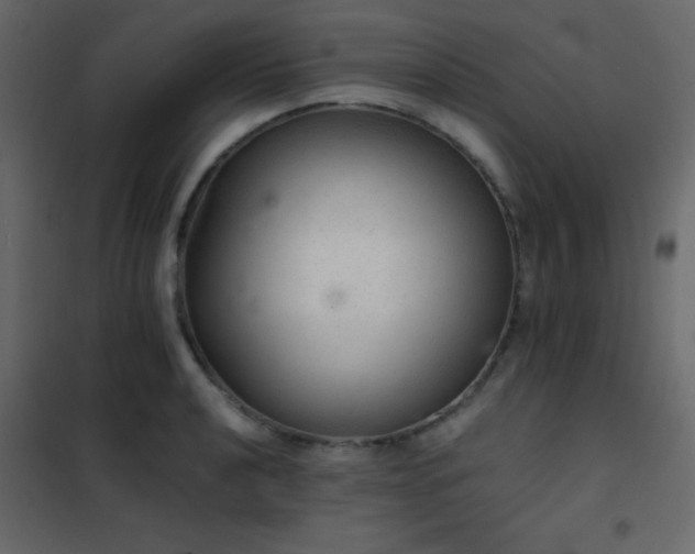 X0000102521040200808081423