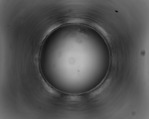 X0000102521041200808081423