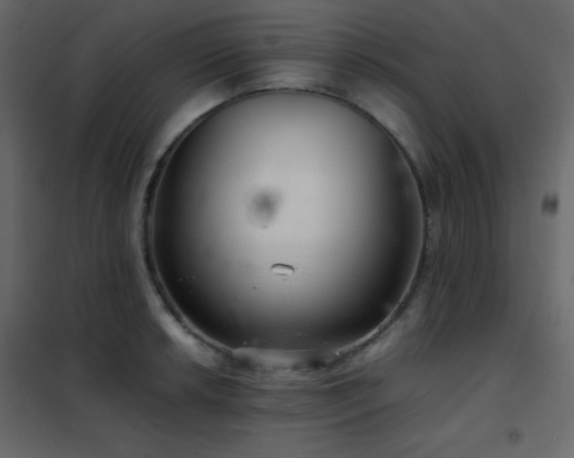 X0000102521042200808081423