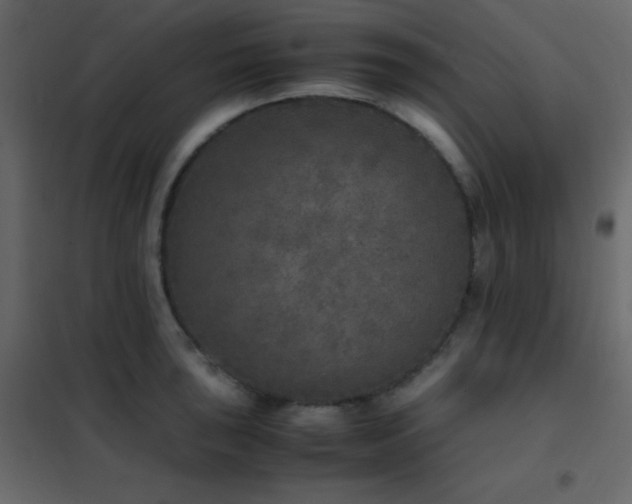 X0000102521043200808081423