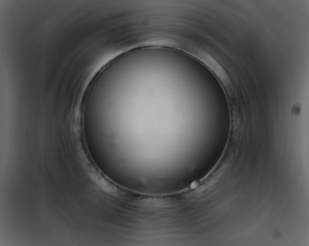 X0000102521044200808081423