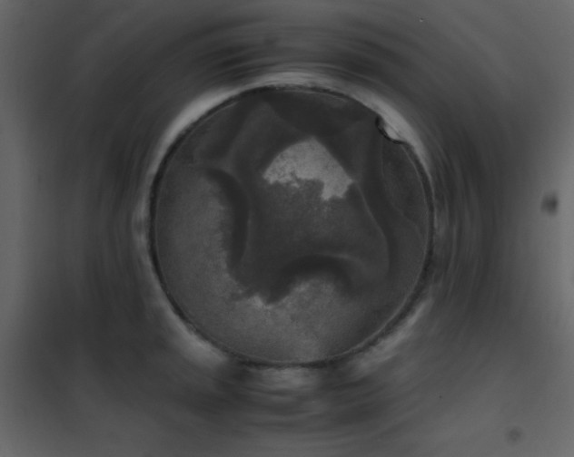 X0000102521045200808081423