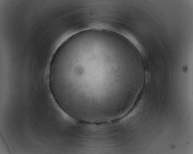 X0000102521046200808081423