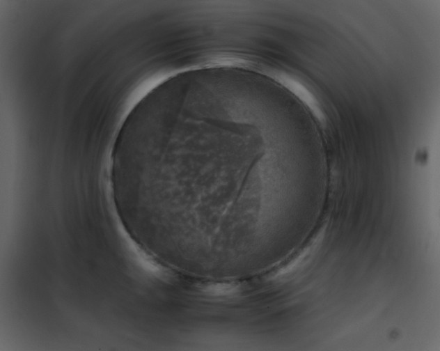 X0000102521047200808081423