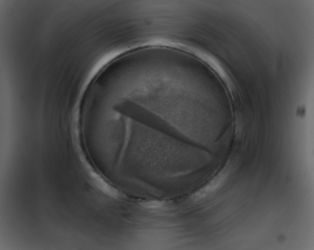 X0000102521048200808081423