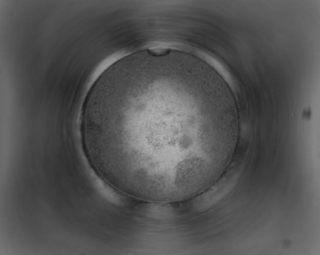 X0000102521050200808081423