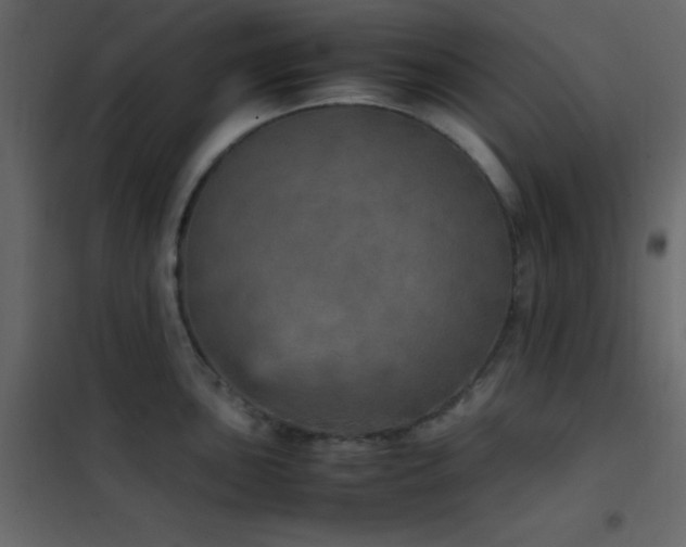 X0000102521051200808081423