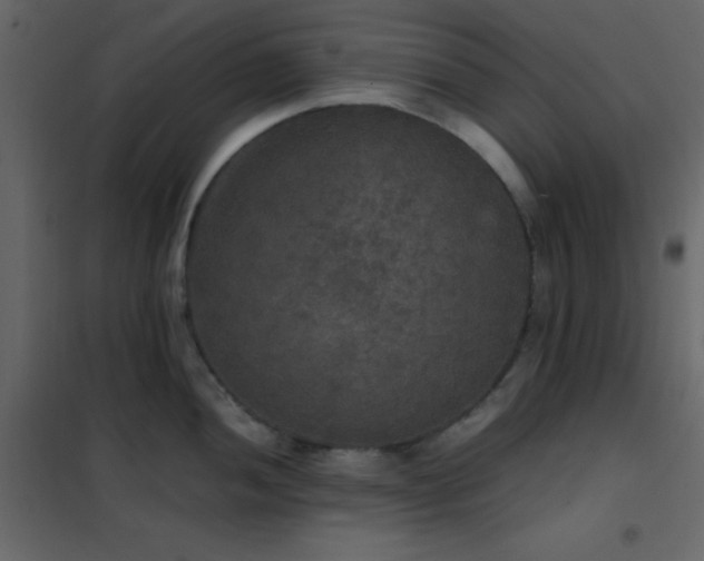 X0000102521052200808081423