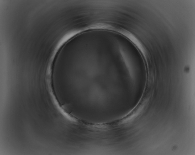 X0000102521053200808081423