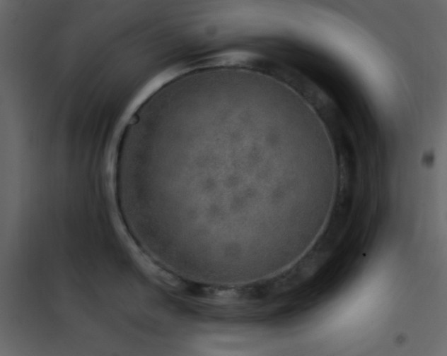 X0000102521054200808081423