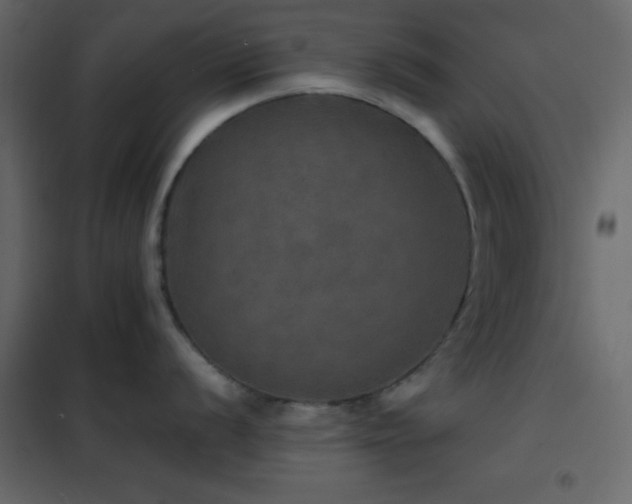 X0000102521056200808081423