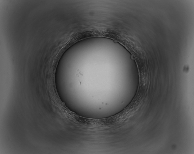 X0000102521057200808081422