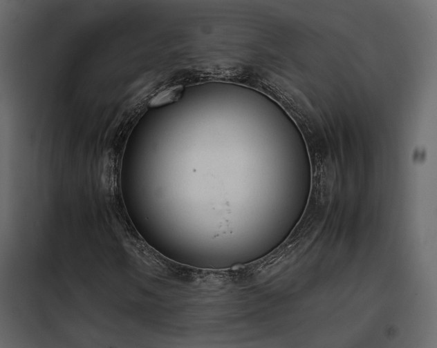 X0000102521058200808081422