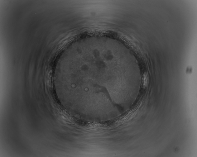 X0000102521059200808081422