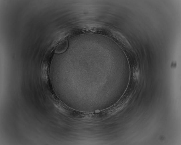 X0000102521060200808081422