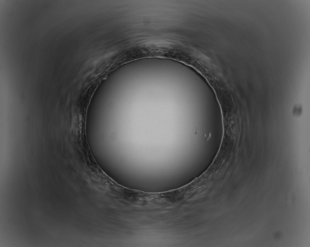 X0000102521061200808081422