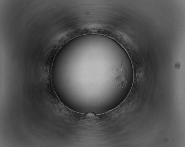 X0000102521062200808081422