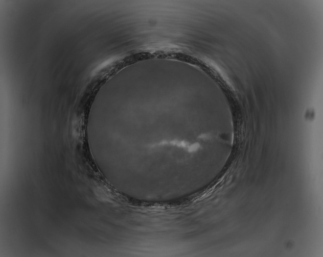 X0000102521063200808081422