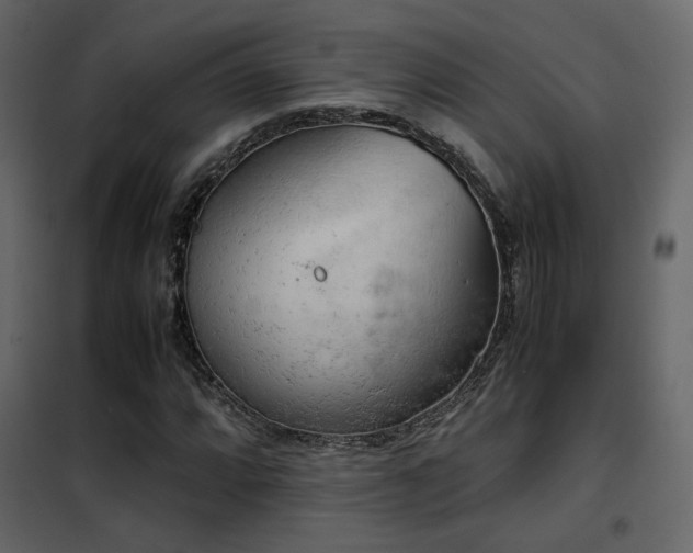 X0000102521064200808081422