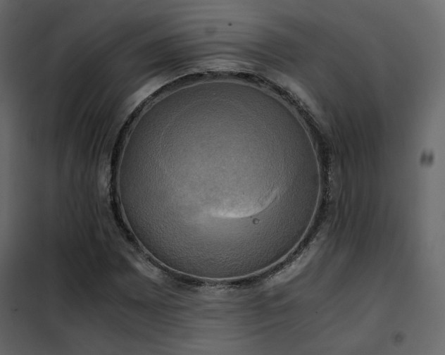 X0000102521065200808081422