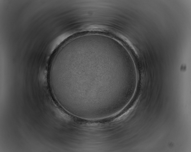 X0000102521066200808081422