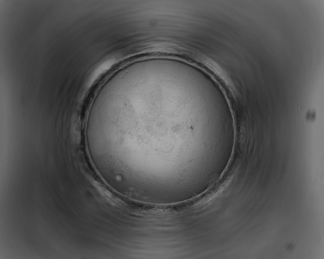 X0000102521067200808081422