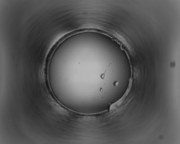 X0000102521068200808081422