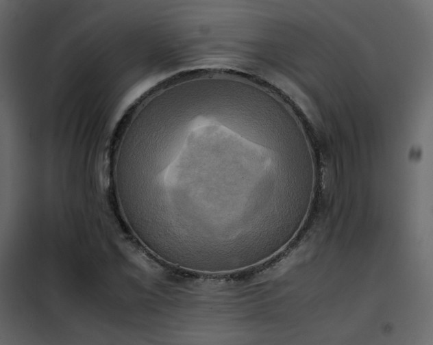 X0000102521069200808081422