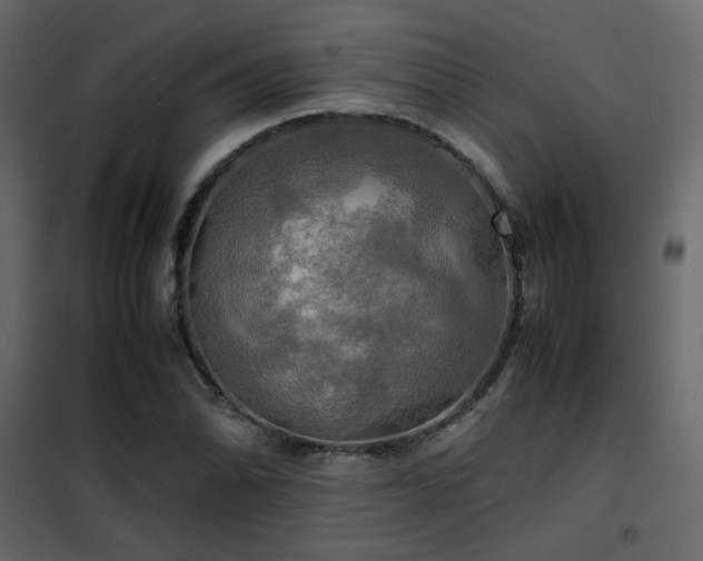 X0000102521070200808081422