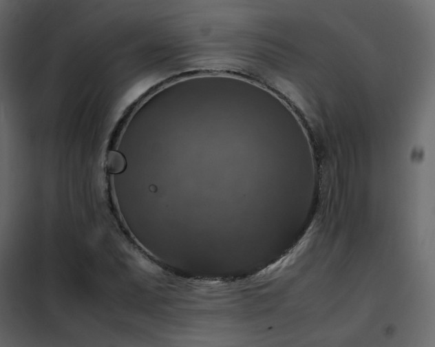 X0000102521071200808081422