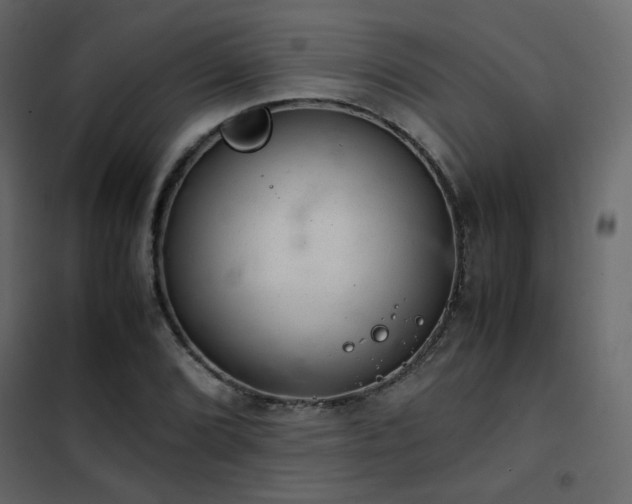 X0000102521072200808081422