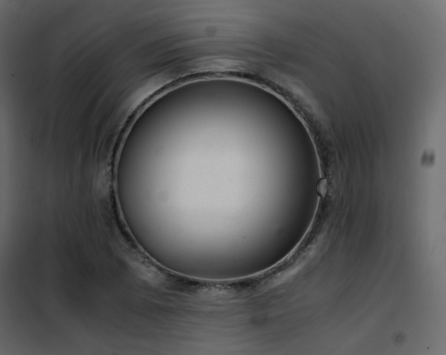 X0000102521073200808081422