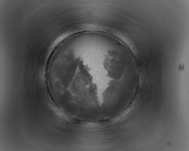 X0000102521074200808081422