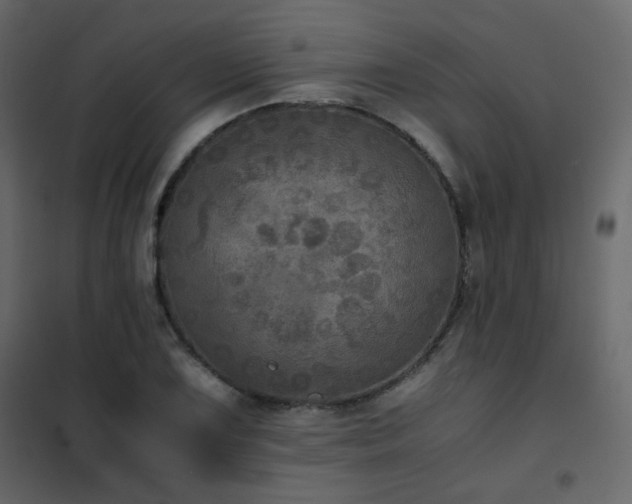 X0000102521075200808081422